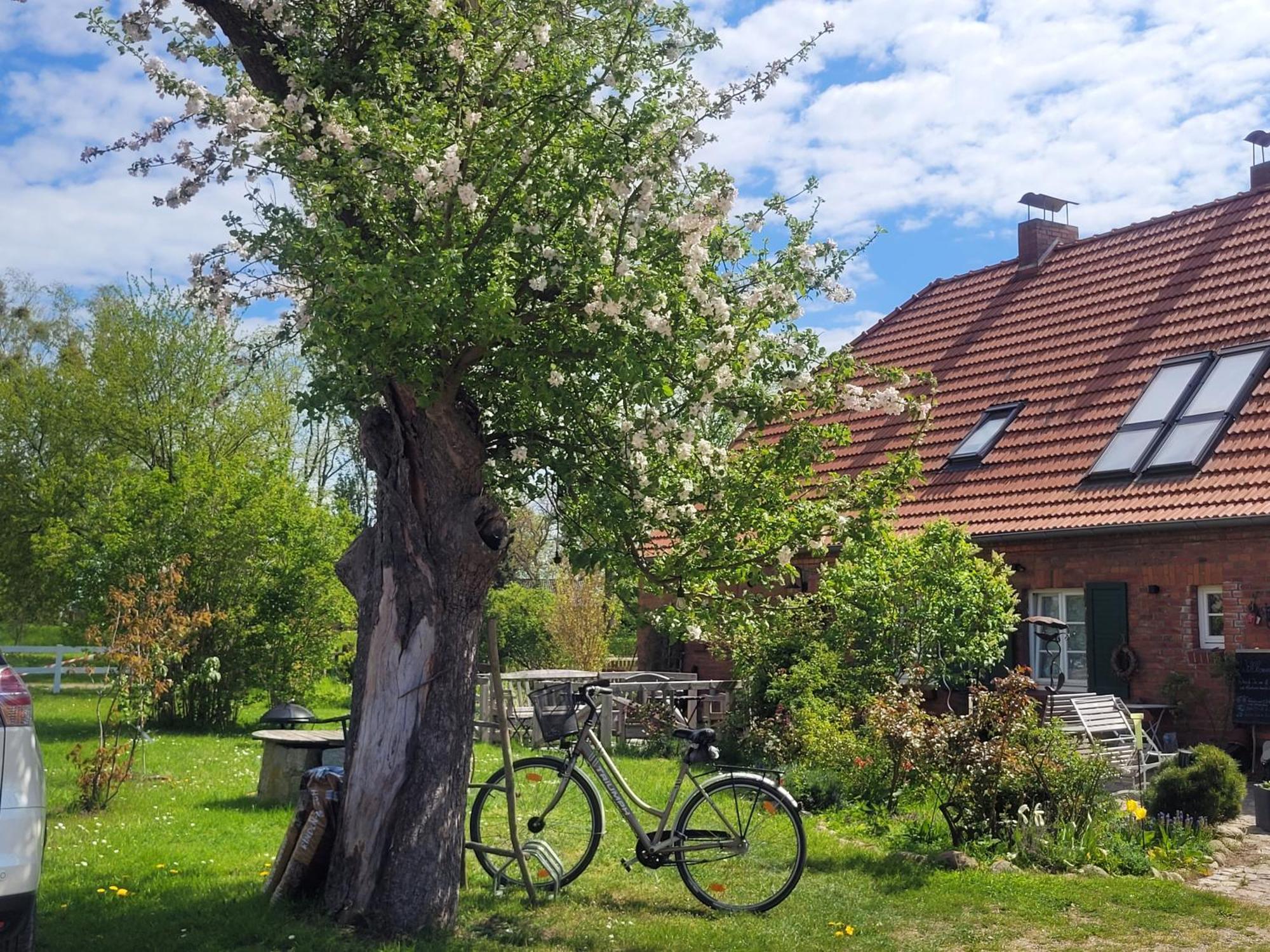 Seminar Und Landhaus Schoenbeck Schonbeck  Экстерьер фото