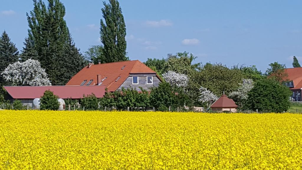 Seminar Und Landhaus Schoenbeck Schonbeck  Экстерьер фото
